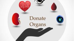 India Needs ‘Opt-Out’ Model for Organ  Donation to Meet Shortages: Doctors